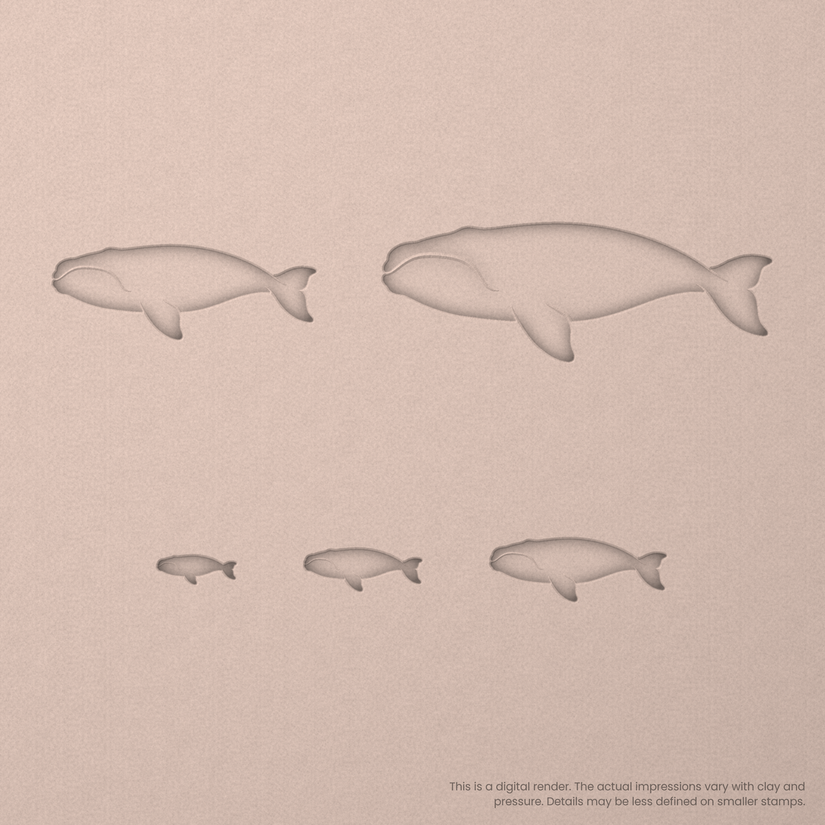 Right Whale Stamps - Ceramind® Tools