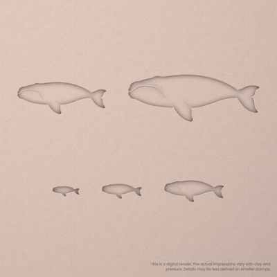 Right Whale Stamps - Ceramind® Tools