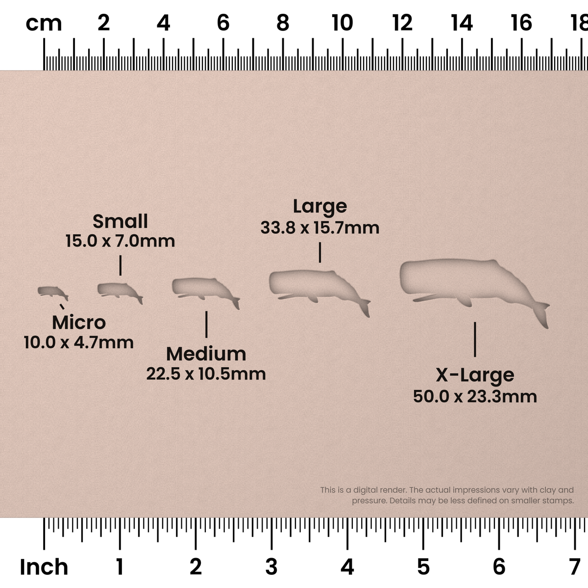 Sperm Whale Stamps - Ceramind® Tools