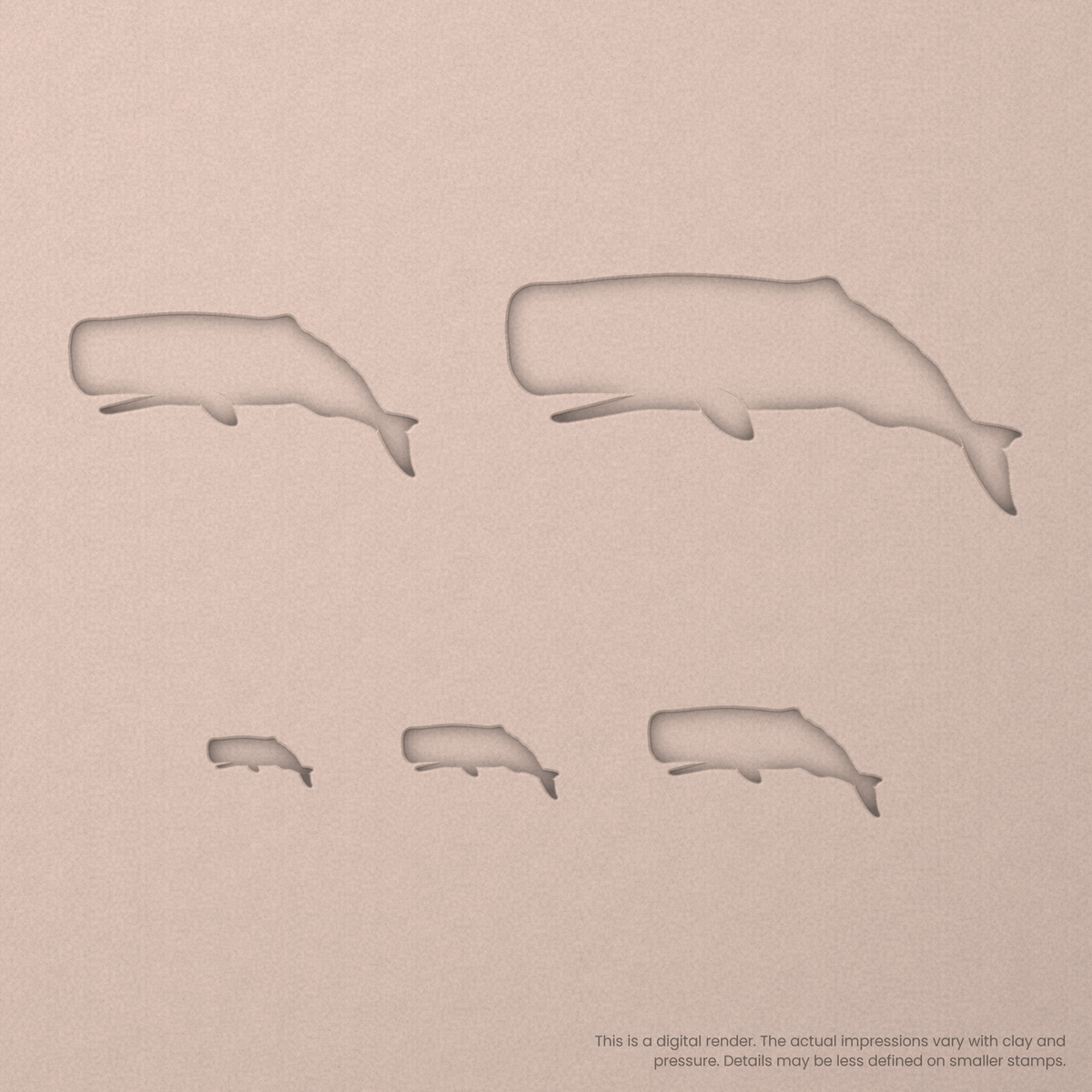 Sperm Whale Stamps - Ceramind® Tools