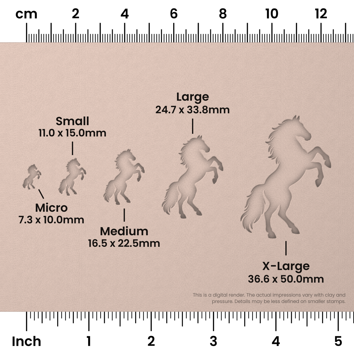 Rearing Stallion Horse Stamps