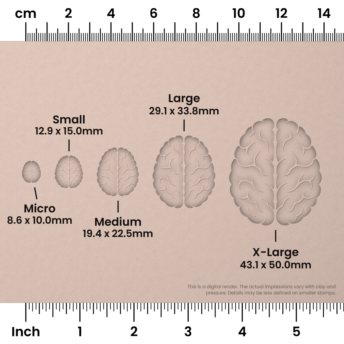Brain (Top View) Stamps