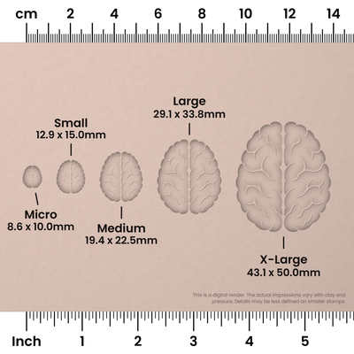 Brain (Top View) Stamps