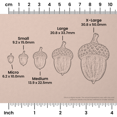 Acorn Stamps - Photo Textured