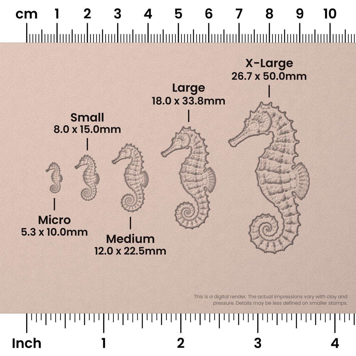 Seahorse Stamps - Photo Textured