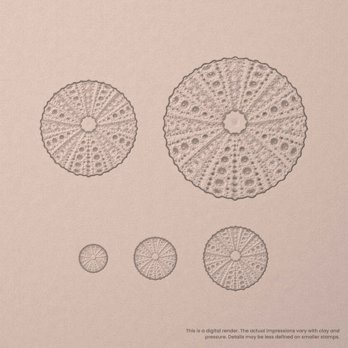 Sea Urchin Stamps - Photo Textured