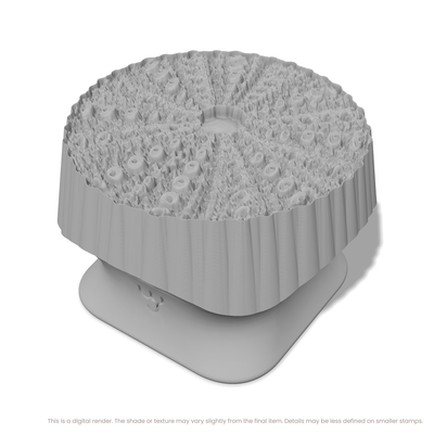 Sea Urchin Stamps - Photo Textured