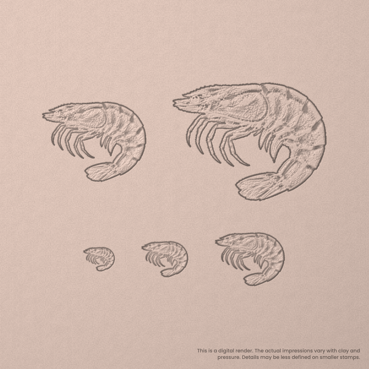 Shrimp Stamps - Photo Textured