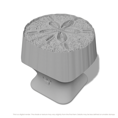 Sand Dollar - Photo Textured