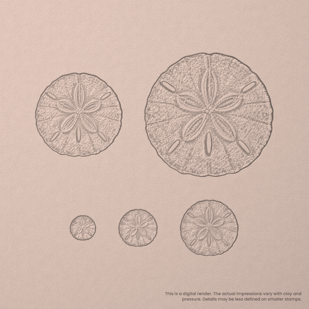 Sand Dollar - Photo Textured