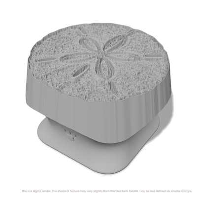 Sand Dollar - Photo Textured