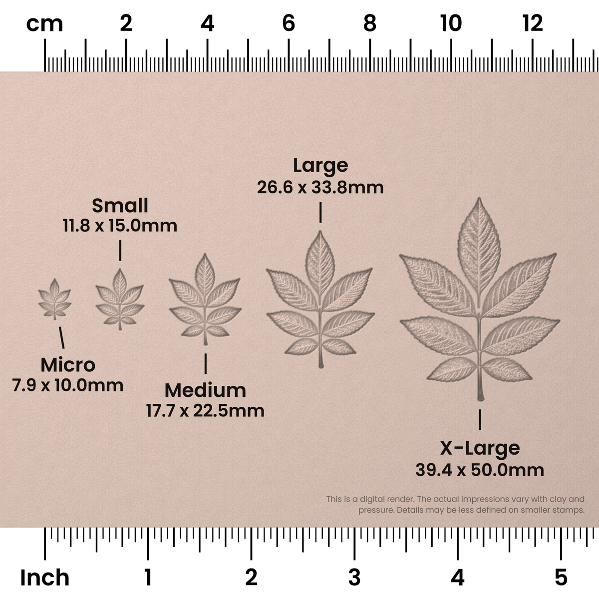 Ash Leaf Stamps - Photo Textured