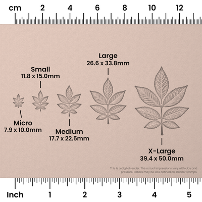 Ash Leaf Stamps - Photo Textured