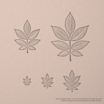 Ash Leaf Stamps - Photo Textured