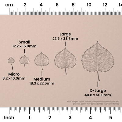 Aspen Leaf Stamps - Photo Textured