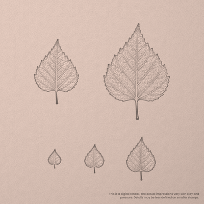 Birch Leaf Stamps - Photo Textured