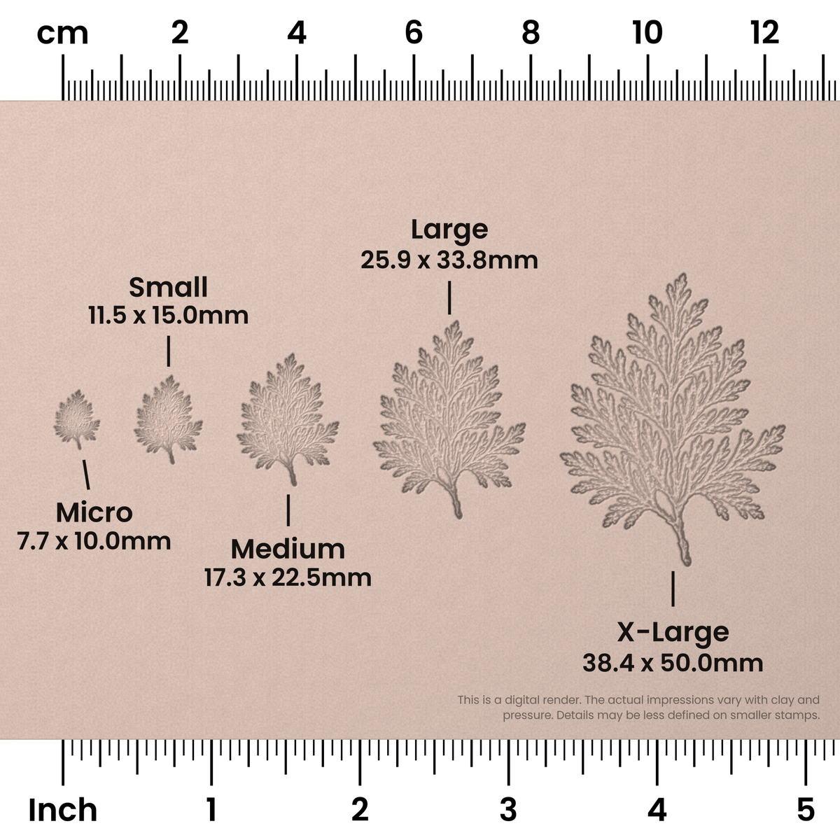 Cedar Leaf Stamps - Photo Textured