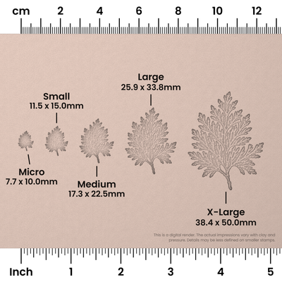 Cedar Leaf Stamps - Photo Textured