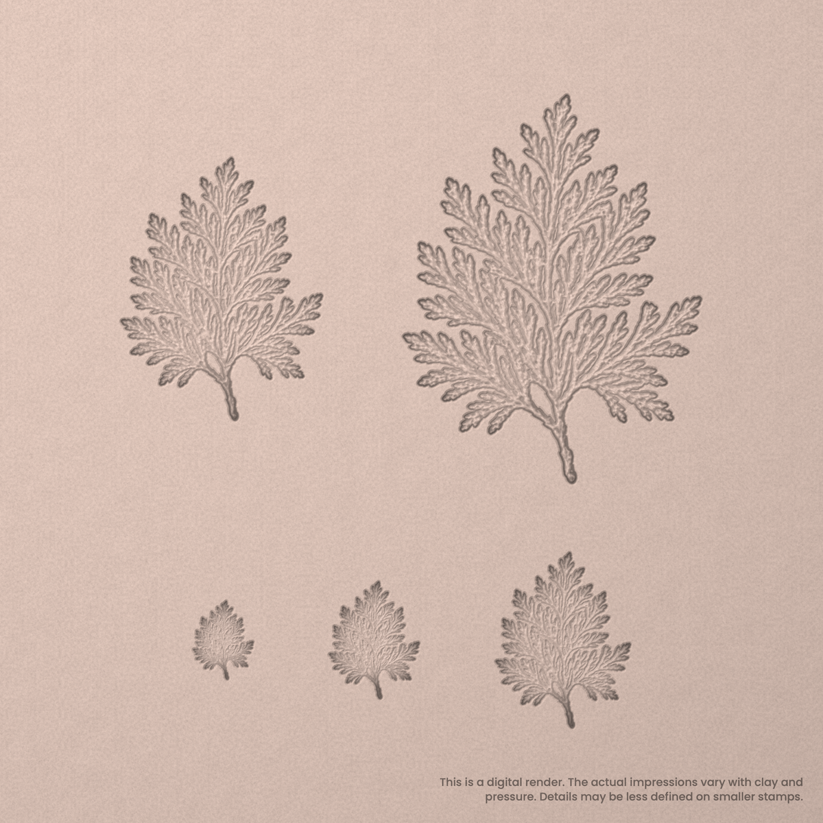 Cedar Leaf Stamps - Photo Textured