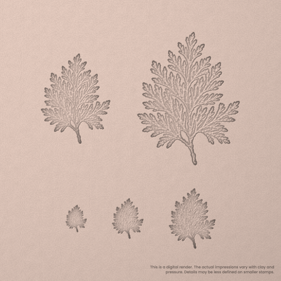 Cedar Leaf Stamps - Photo Textured