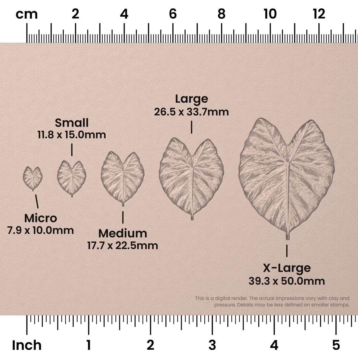 Elephant Leaf Stamps - Photo Textured