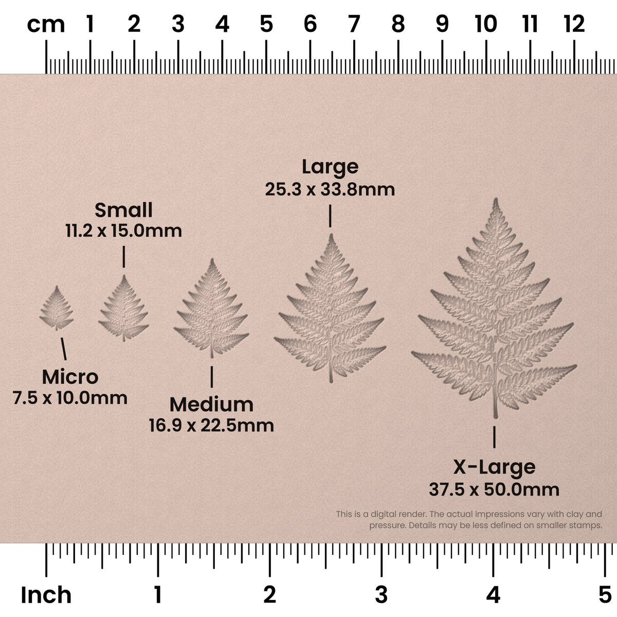 Fern Leaf Stamps - Photo Textured