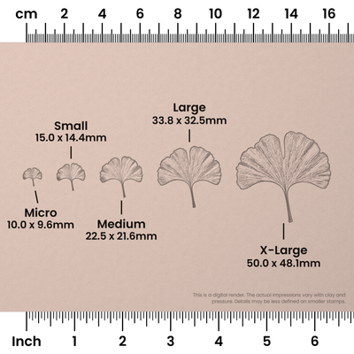 Ginko Leaf Stamps - Photo Textured