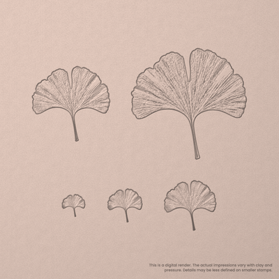 Ginko Leaf Stamps - Photo Textured