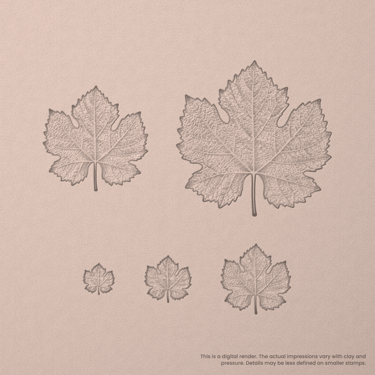 Grape Vine Leaf Stamps - Photo Textured