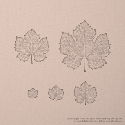 Grape Vine Leaf Stamps - Photo Textured