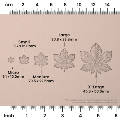 Horse Chestnut Leaf Stamps - Photo Textured