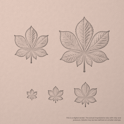 Horse Chestnut Leaf Stamps - Photo Textured