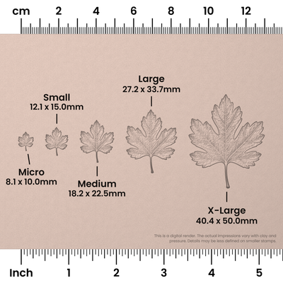 Hawthorn Leaf Stamps - Photo Textured