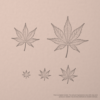 Japanese Maple Leaf Stamps - Photo Textured