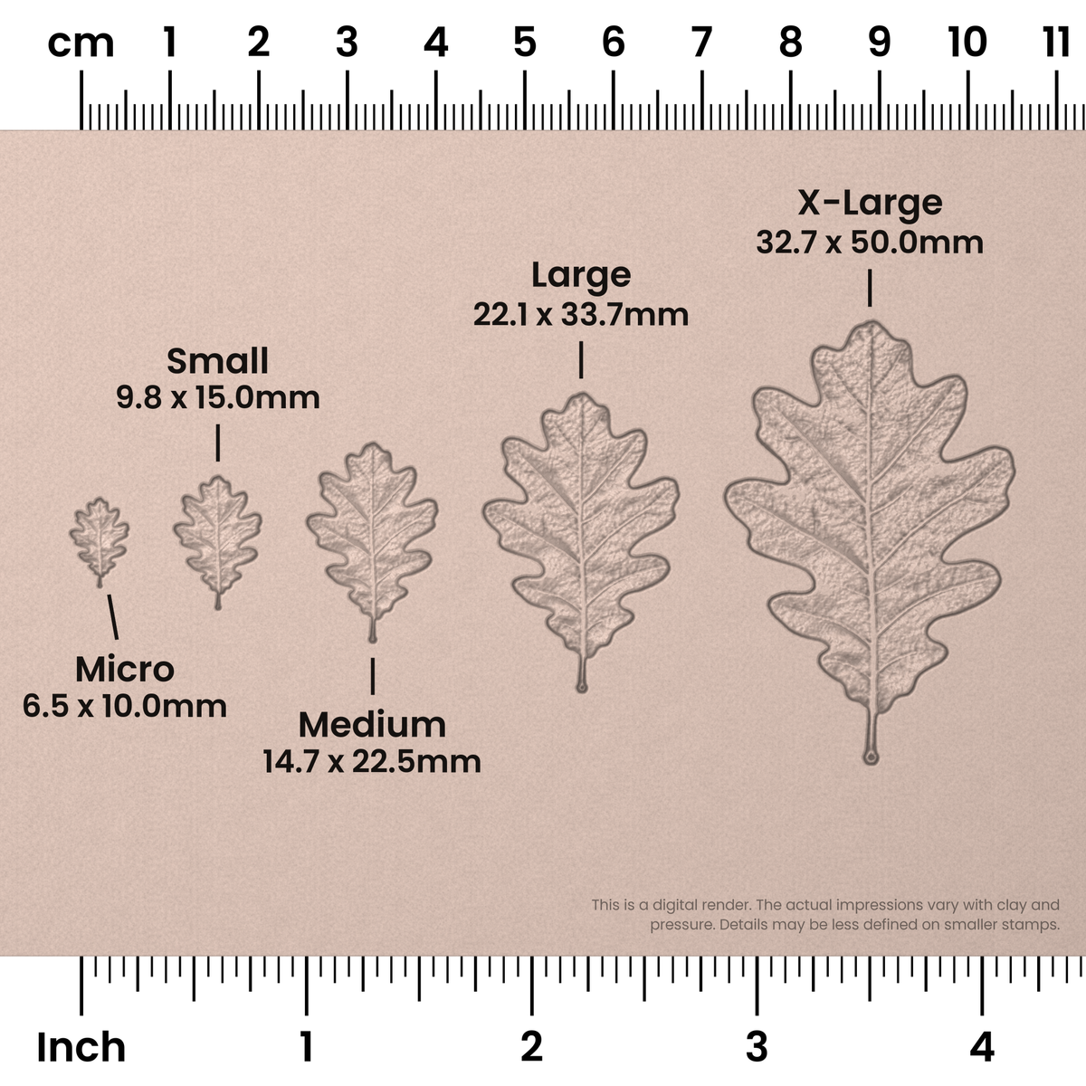 White Oak Leaf Stamps - Photo Textured