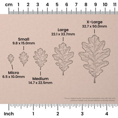 White Oak Leaf Stamps - Photo Textured