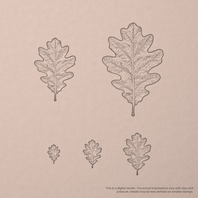 White Oak Leaf Stamps - Photo Textured