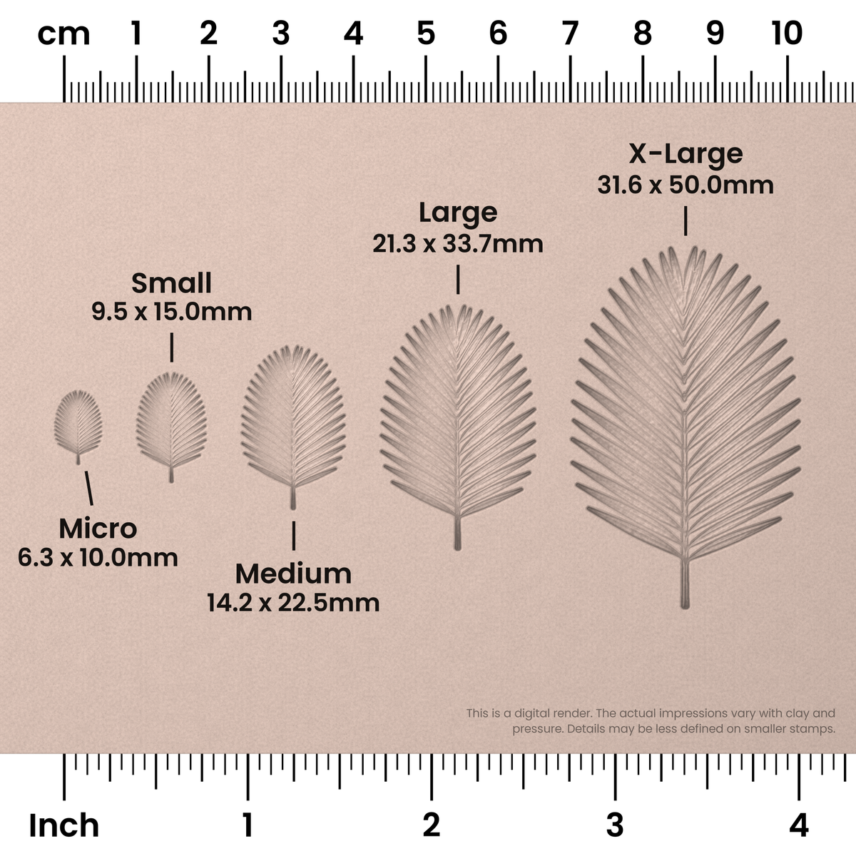 Palm Leaf Stamps - Photo Textured