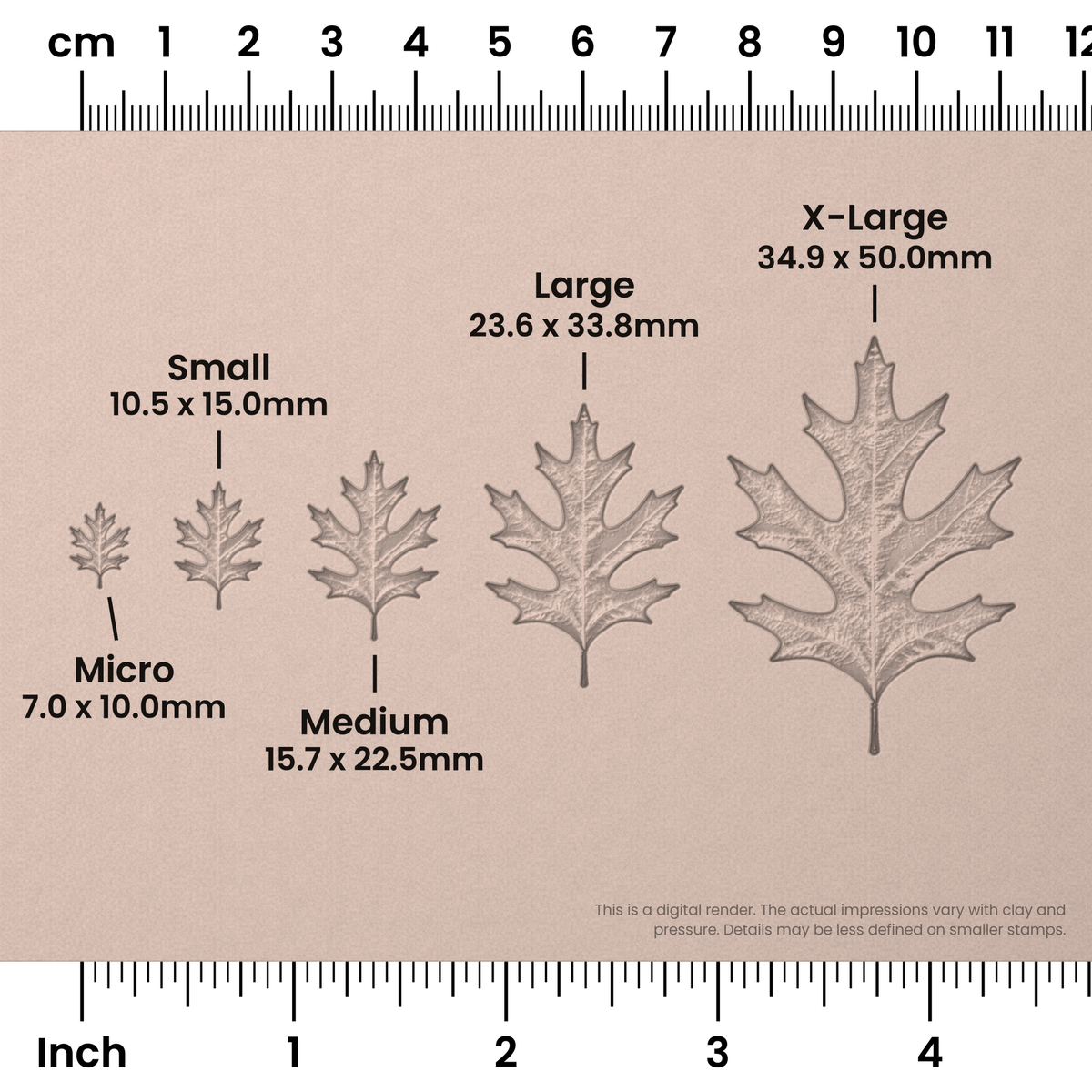 Pin Oak Leaf Stamps - Photo Textured