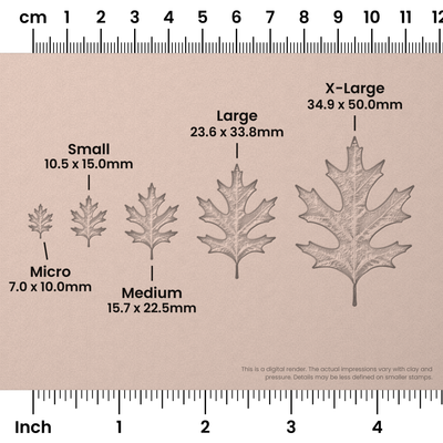 Pin Oak Leaf Stamps - Photo Textured