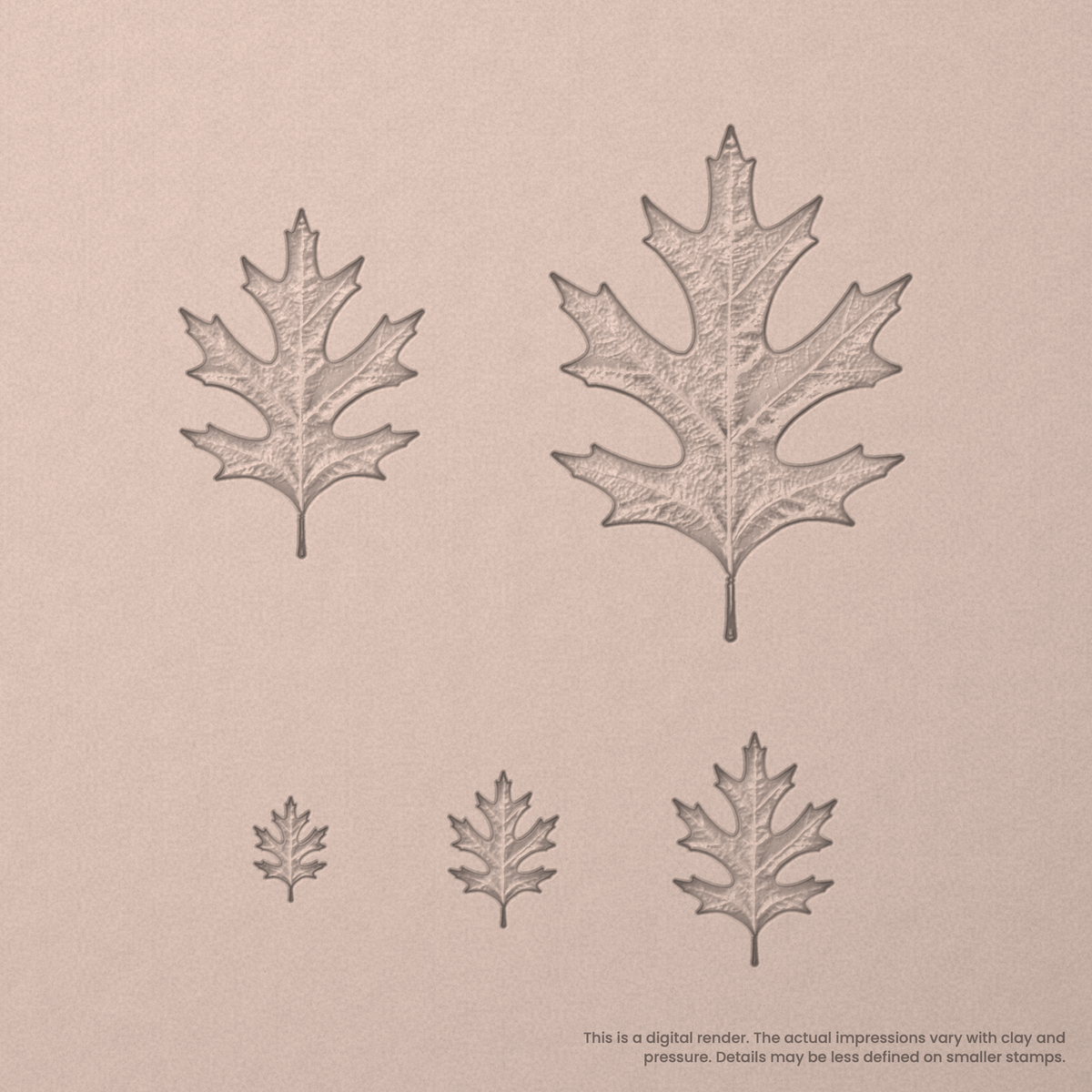 Pin Oak Leaf Stamps - Photo Textured