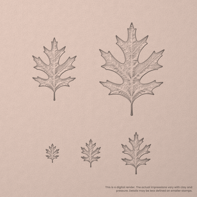 Pin Oak Leaf Stamps - Photo Textured