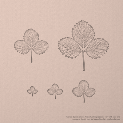 Strawberry Leaf Stamps - Photo Textured