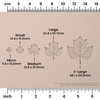 Tulip Tree Leaf Stamps - Photo Textured