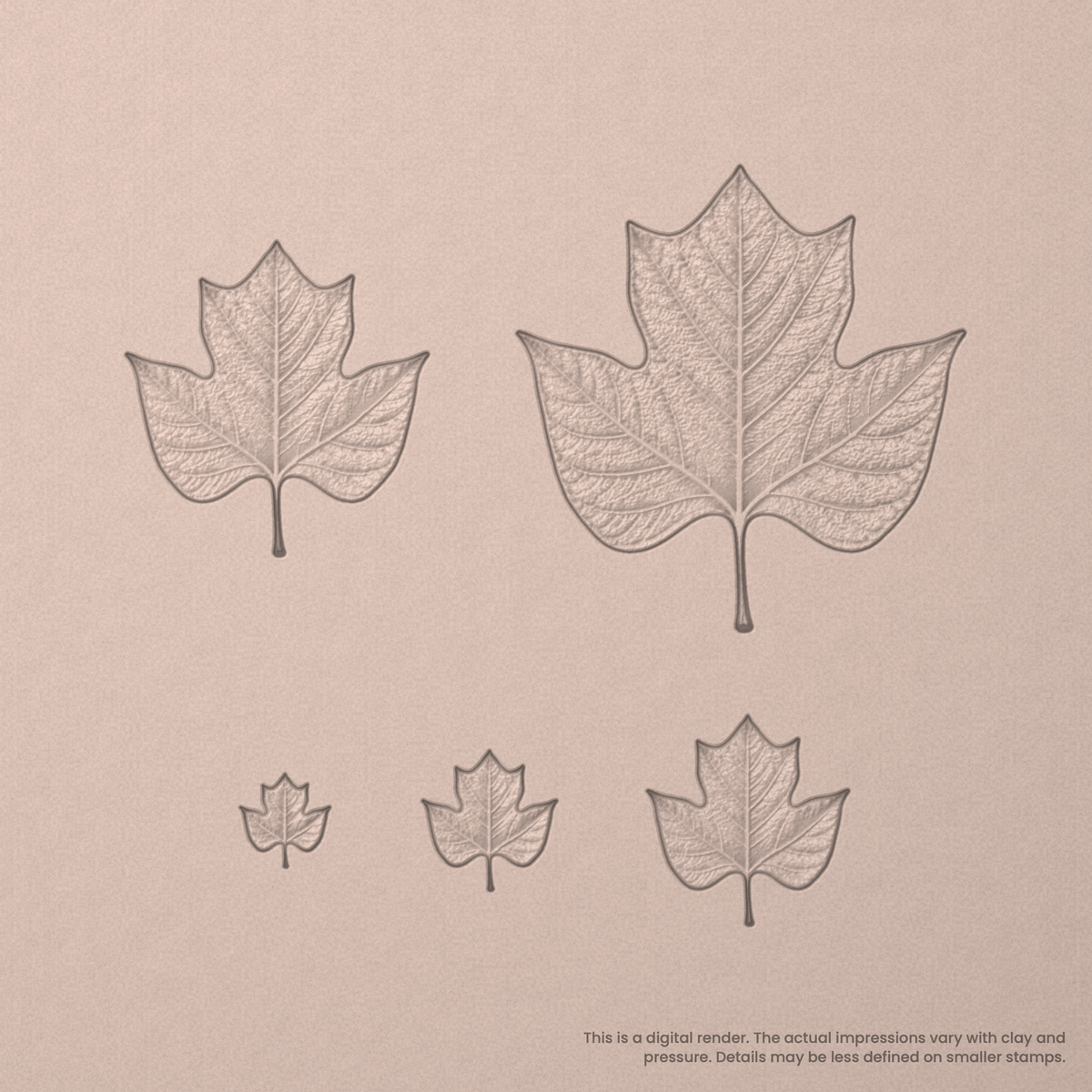 Tulip Tree Leaf Stamps - Photo Textured