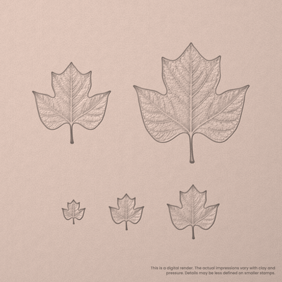 Tulip Tree Leaf Stamps - Photo Textured