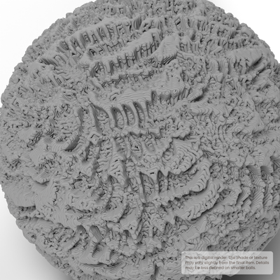 Texture Ball | Ferns Texture - Style 01 - Ceramind® Tools