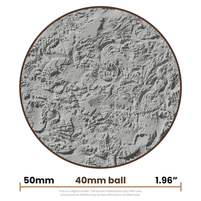 Texture Ball | Fossil Texture - Style 01 - Ceramind® Tools
