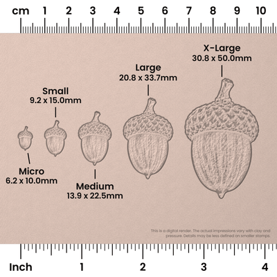 Acorn Stamps - Photo Textured - Ceramind® Tools