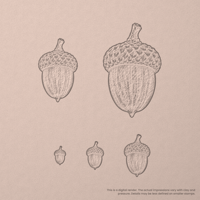 Acorn Stamps - Photo Textured - Ceramind® Tools